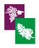 Logo V &O