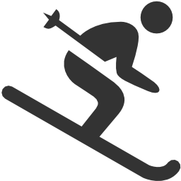 Logo VINCENT SPORTS