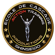 Logo ACTION TRAINING PRODUCTIONS