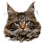 Logo MADAME MARIE DELRIEU