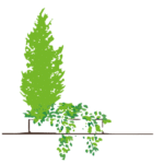 Logo CHARNAY PAYSAGE