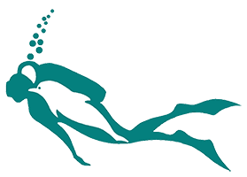 Logo ASSOCIATION LES DAUPHINS D'AVIGNON