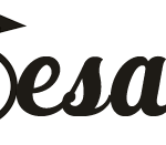 Logo ECOLE SUPERIEURE ARTS APPLIQUES AQUI