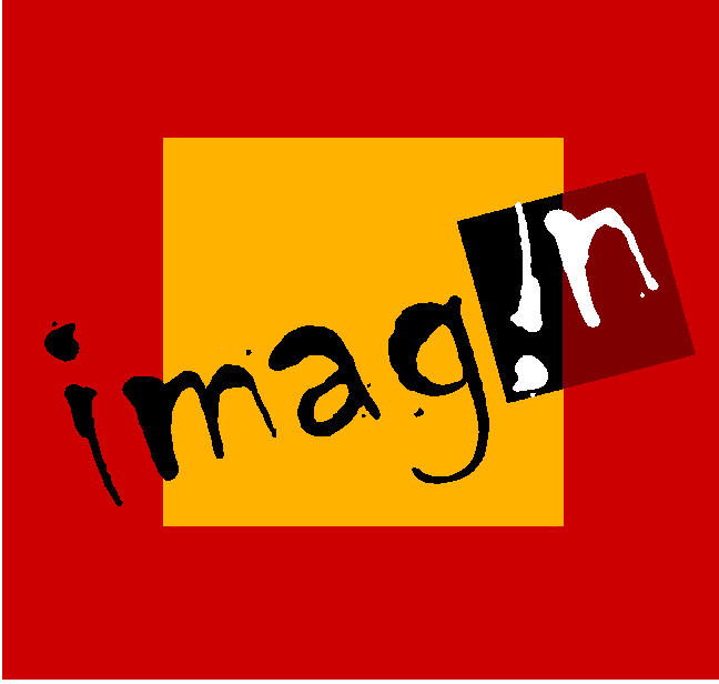 Logo IMAG N