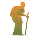 Logo DIVO EXOTIQUE
