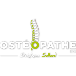 Logo MONSIEUR STEPHANE SALLARD