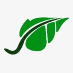 Logo PEPINIERES MARNAYSIENNES