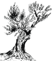 Logo IMMOBILIERE L'OLIVIER