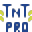 Logo SNC TNT PRO
