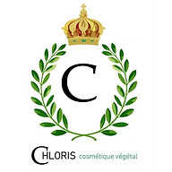 Logo ENVY