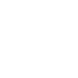 Logo INCENDIE SURVEILLANCE PROTECTION EURO