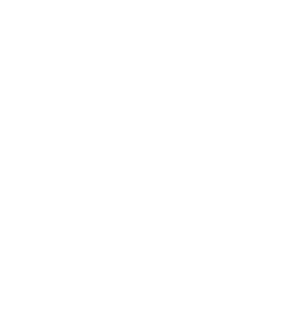 Logo GIE DES VIGNOBLES DE TOURNEFEUILLE