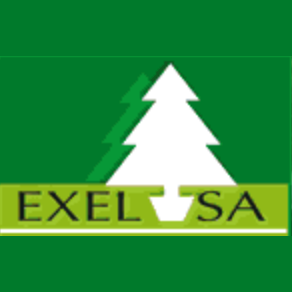 Logo EXELSA PRODUCTION