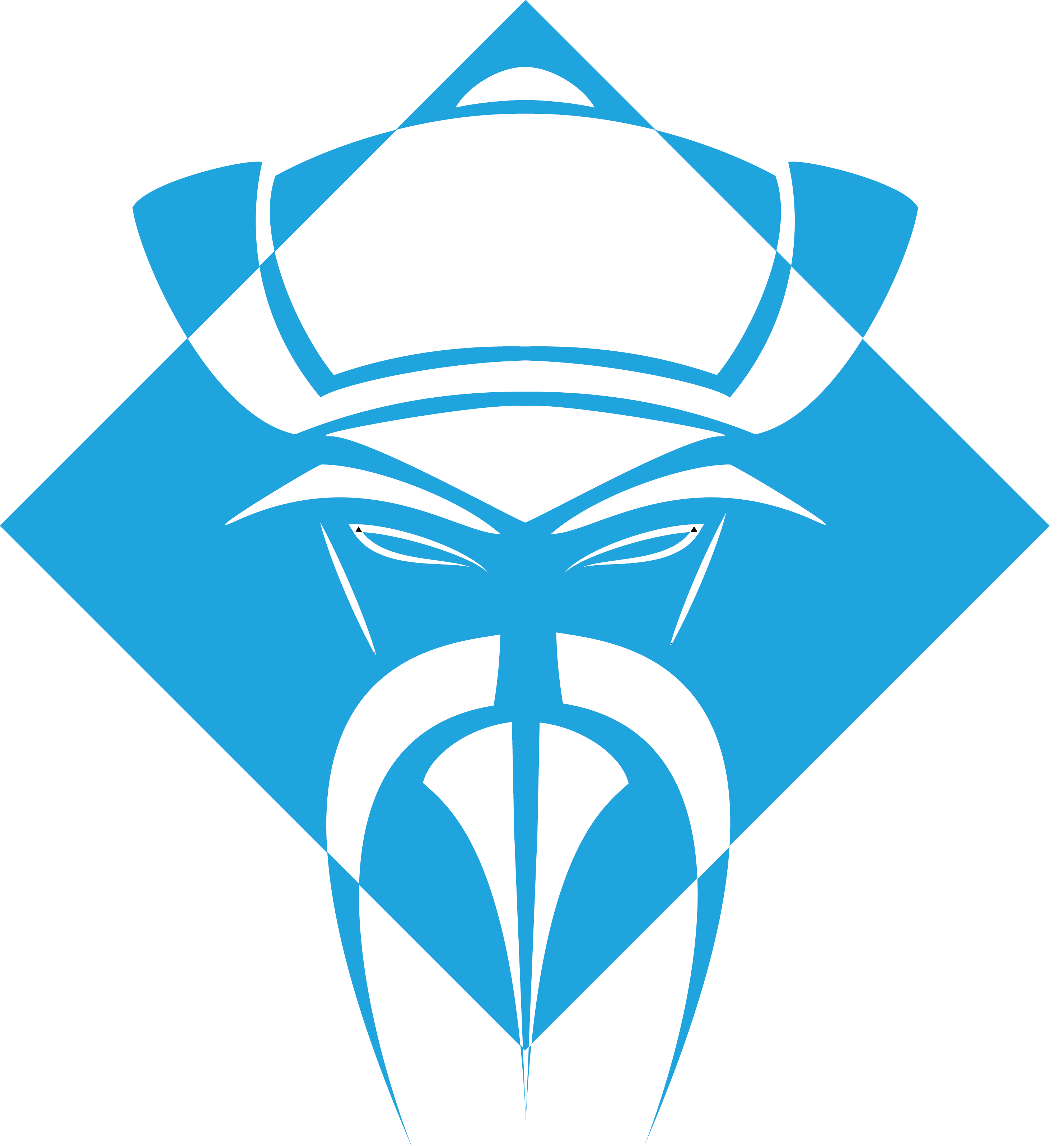 Logo FOO MANCHU