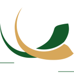 Logo CHAUVIGNAT SCHEFFER GESTION PRIVEE