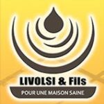 Logo LIVOLSI ET FILS
