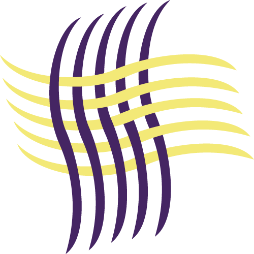 Logo DAVID ALARME ELECTRICITE SERVICE