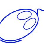 Logo ORDINEA