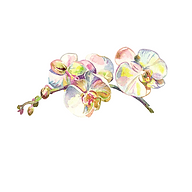 Logo MADAME SANDRINE GOURET