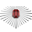Logo STUDIO PILOTE
