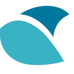 Logo OPTIMAL-IT