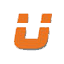 Logo USIREA