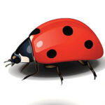 Logo CHAMPAGNE J.PIERRON-LEGLISE