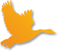 Logo SCEA LES OIES DU PERIGORD NOIR