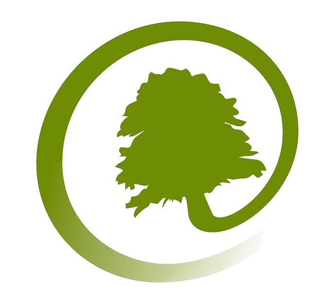 Logo VALORISATION -BOIS - ENERGIE