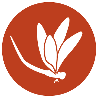 Logo AGENCE IMMOBILIERE L'ESPRIT DU SUD