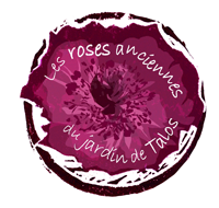 Logo MONSIEUR YAN SURGUET