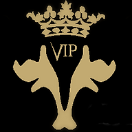 Logo V.I.P. EXCLUSIVE SERVICES