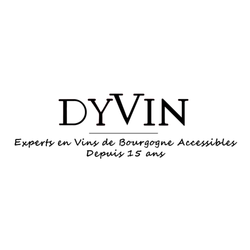 Logo DYVIN DISTRIBUTION