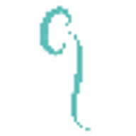 Logo SELURL DU DOCTEUR PAULINE GUIFFART