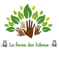 Logo MONSIEUR PATRICK CHEVALIER