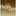 Logo MADAME AURELIE DESBOEUFS
