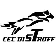 Logo MADAME AUDREY NOEL