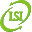 Logo LSI DISTRIBUTION