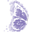 Logo LES FEES DE LA COM
