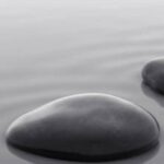 Logo MADAME ANNE-MARIE LEROY