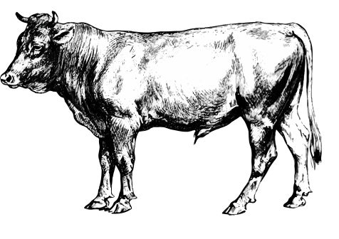 Logo LA BERGERIE DES ILES