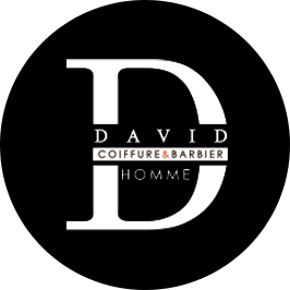 Logo MONSIEUR DAVID BOUCHILLOUX