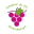 Logo LE COMPTOIR DU VIN DISTRIBUTION