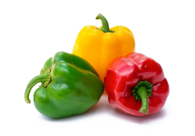 Logo MADAME VIRGINIE PREAU GUILLOTEAU