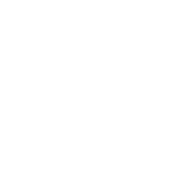 Logo BORDEAUX FOOTBALL AMERICAIN LES LIONS DE BORDEAUX