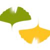 Logo MADAME BEATRICE LE BERTHIER