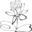 Logo MONSIEUR PASCAL SPILER