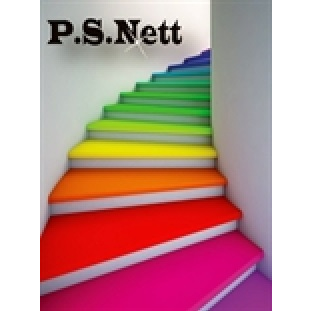 Logo P-S-NETT