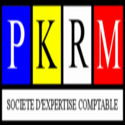 Logo PKRM