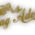 Logo DAG ADOM